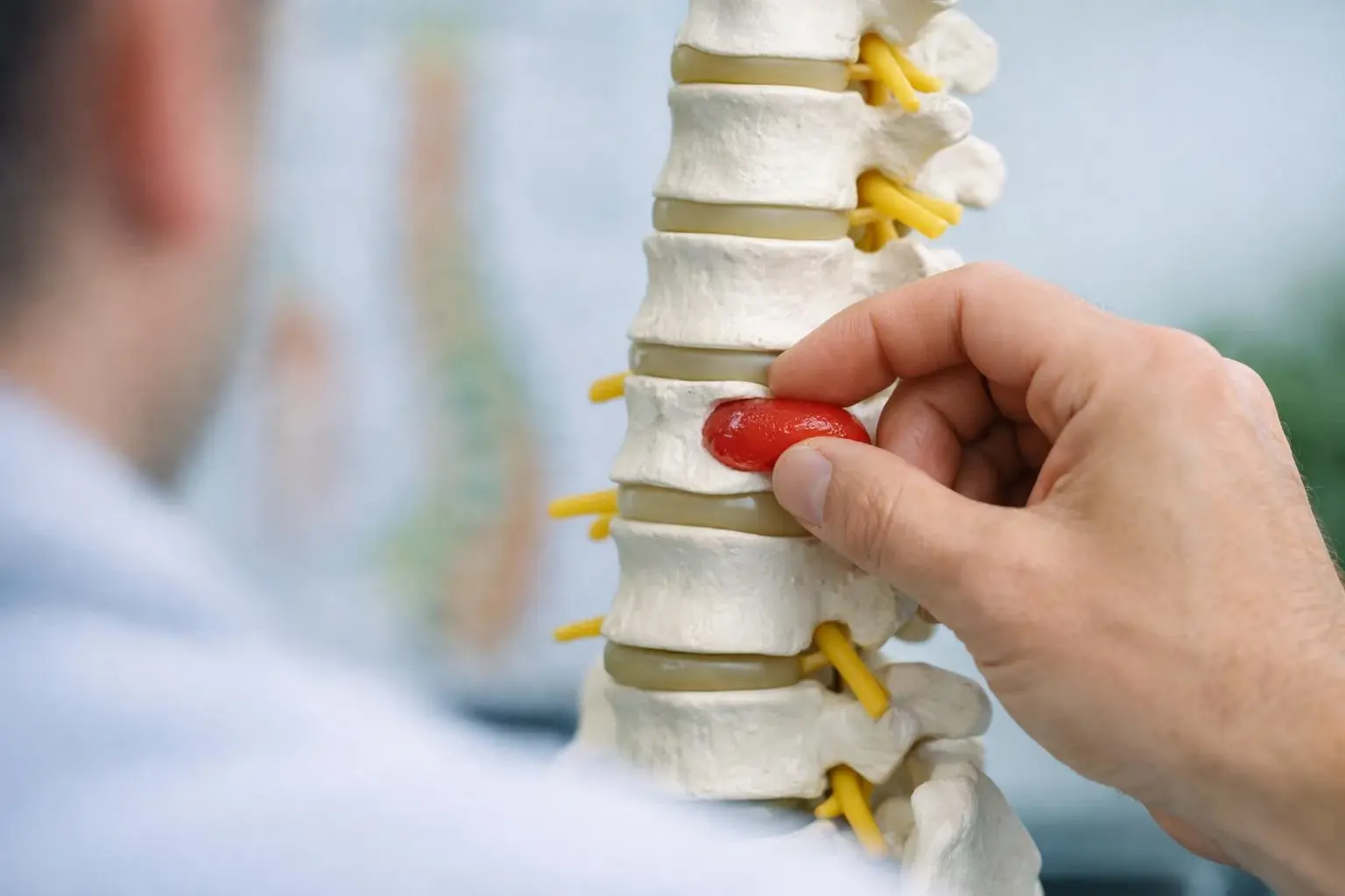 How Herniated Disc applies to Chiropractor services in Hendersonville, United States—practical illustration